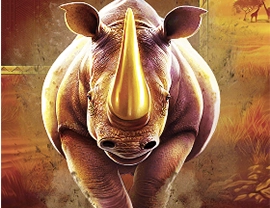 Great Rhino