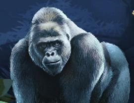 Jungle Gorilla